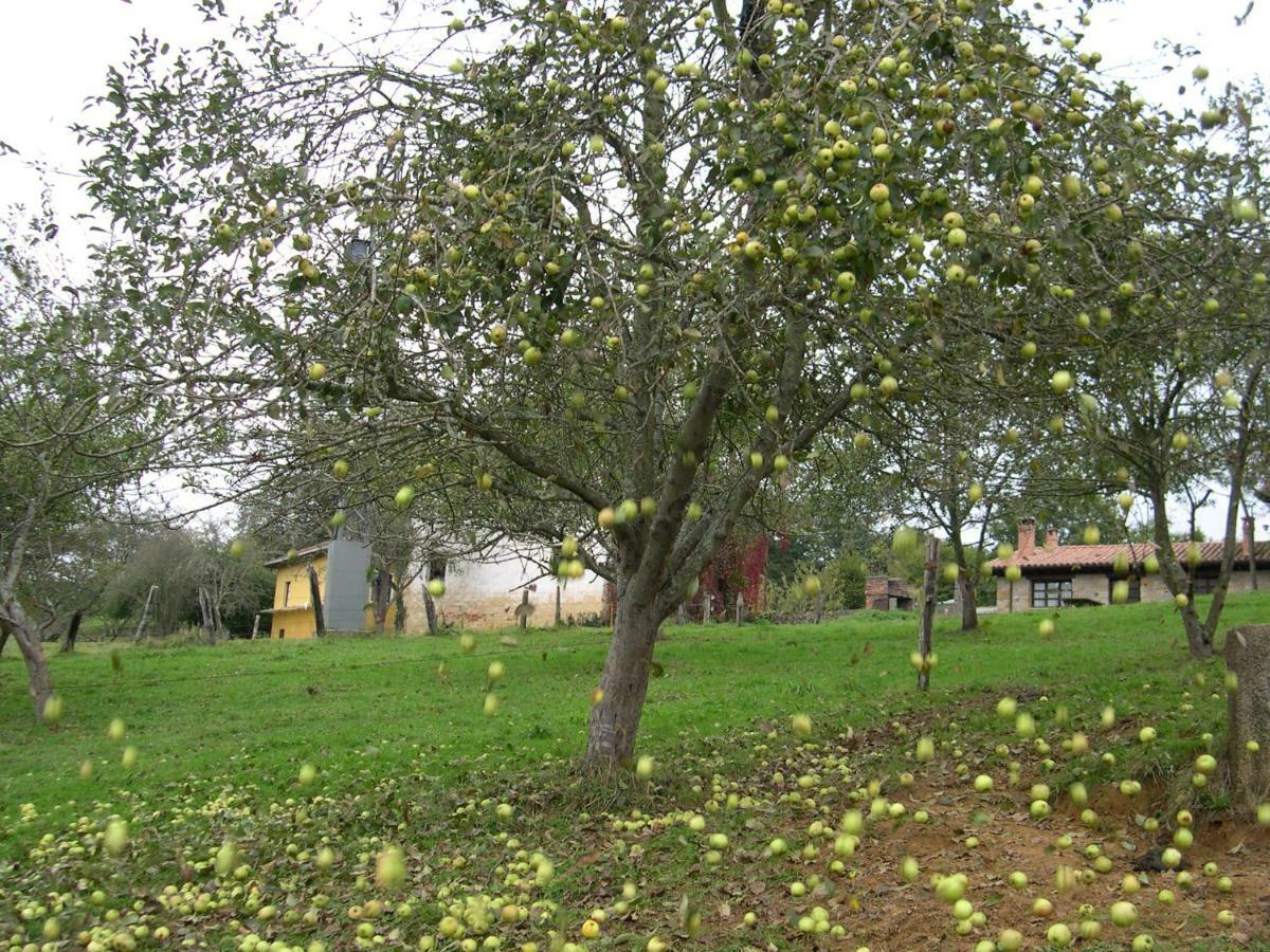Turismo Rural El Sidron Casa de hóspedes Piloña Exterior foto